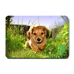 Puppy In Grass Small Doormat