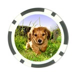 Puppy In Grass Poker Chip Card Guard