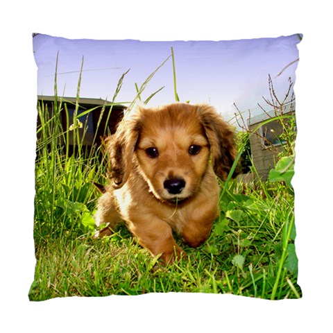 Puppy In Grass Standard Cushion Case (One Side) from ArtsNow.com Front
