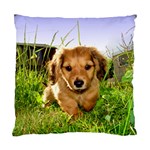 Puppy In Grass Standard Cushion Case (One Side)