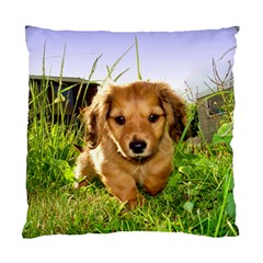 Puppy In Grass Standard Cushion Case (Two Sides) from ArtsNow.com Front