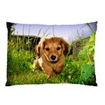 Puppy In Grass Pillow Case