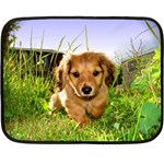 Puppy In Grass Fleece Blanket (Mini)