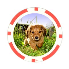 Puppy In Grass Poker Chip Card Guard (10 pack) from ArtsNow.com Front