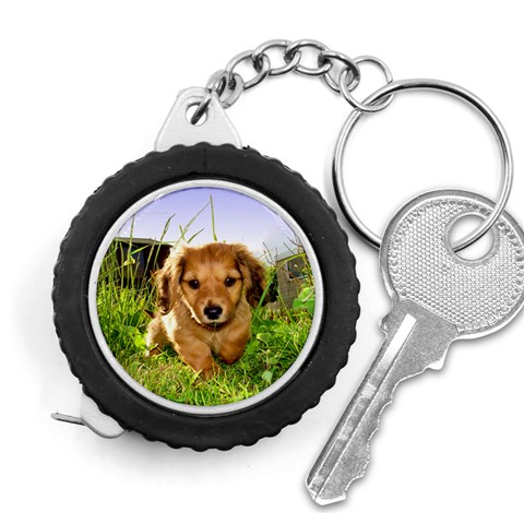 Puppy In Grass Measuring Tape from ArtsNow.com Front