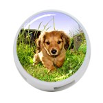 Puppy In Grass 4-Port USB Hub (Two Sides)