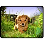 Puppy In Grass Fleece Blanket (Large)