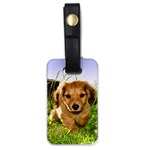 Puppy In Grass Luggage Tag (one side)