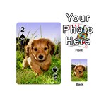 Puppy In Grass Playing Cards 54 (Mini)