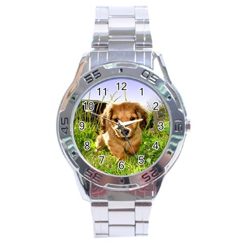 Puppy In Grass Stainless Steel Analogue Watch from ArtsNow.com Front