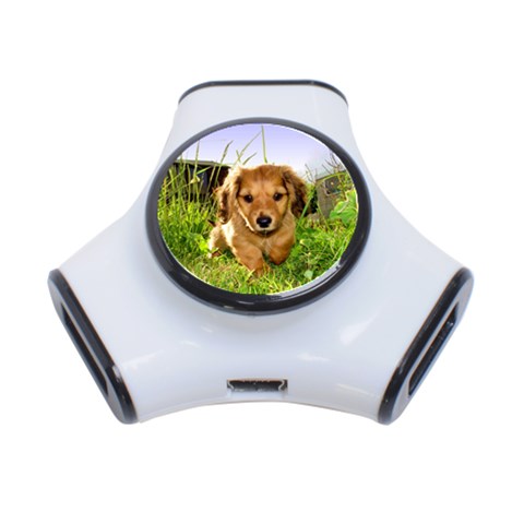 Puppy In Grass 3 Front