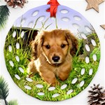 Puppy In Grass Ornament (Round Filigree)