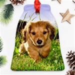 Puppy In Grass Bell Ornament (Two Sides)