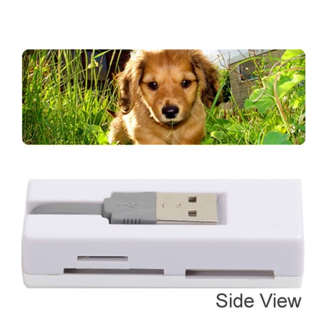 Puppy In Grass Memory Card Reader (Stick) from ArtsNow.com Front