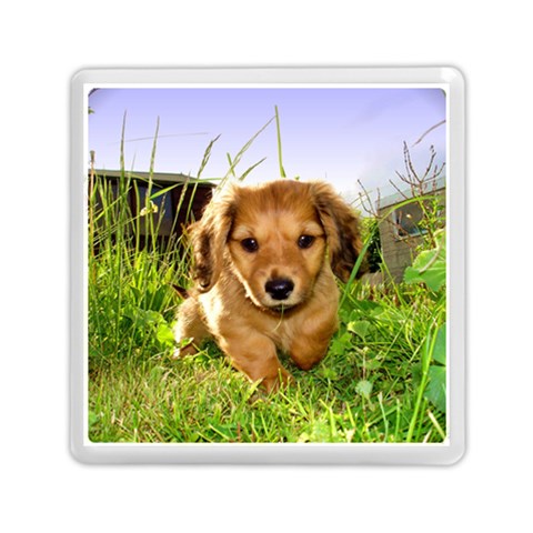 Puppy In Grass Memory Card Reader (Square) from ArtsNow.com Front