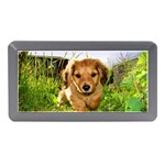 Puppy In Grass Memory Card Reader (Mini)