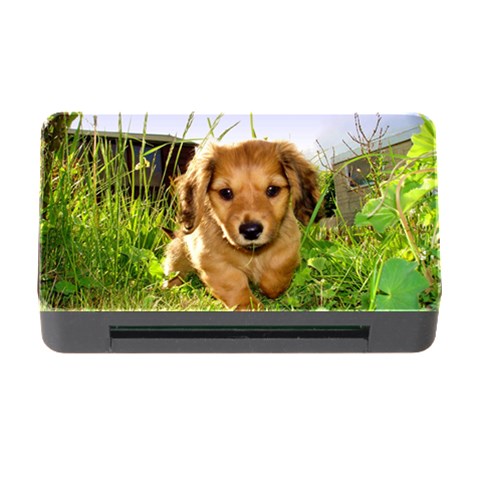 Puppy In Grass Memory Card Reader with CF from ArtsNow.com Front