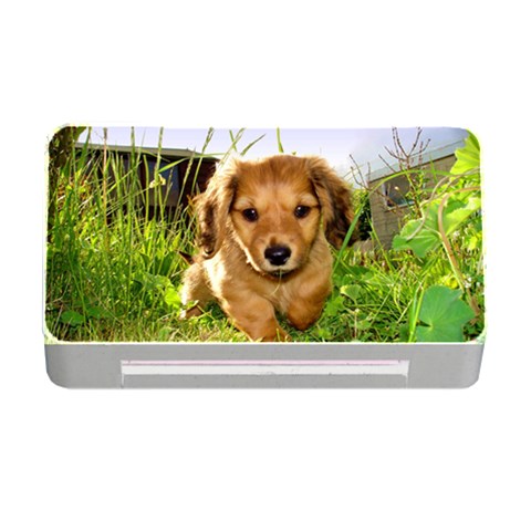 Puppy In Grass Memory Card Reader with CF from ArtsNow.com Front