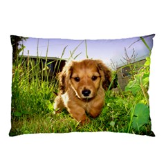 Puppy In Grass Pillow Case (Two Sides) from ArtsNow.com Front