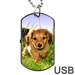 Puppy In Grass Dog Tag USB Flash (One Side)