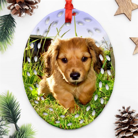 Puppy In Grass Ornament (Oval Filigree) from ArtsNow.com Front