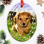 Puppy In Grass Oval Filigree Ornament (Two Sides)