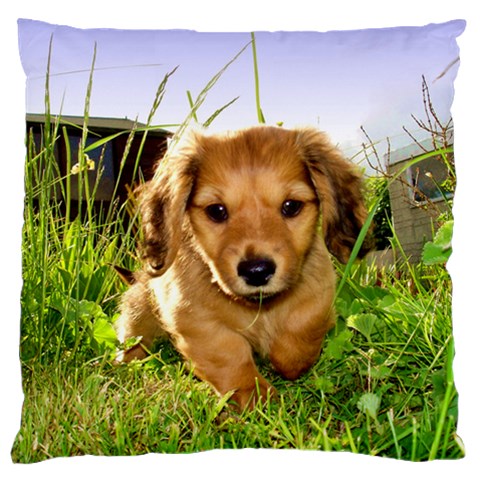 Puppy In Grass Large Cushion Case (Two Sides) from ArtsNow.com Front