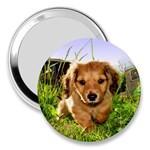 Puppy In Grass 3  Handbag Mirror