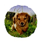 Puppy In Grass Standard 15  Premium Round Cushion 