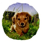 Puppy In Grass Large 18  Premium Round Cushion 