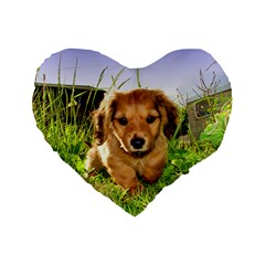 Puppy In Grass Standard 16  Premium Heart Shape Cushion  from ArtsNow.com Front