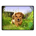 Puppy In Grass Double Sided Fleece Blanket (Small)