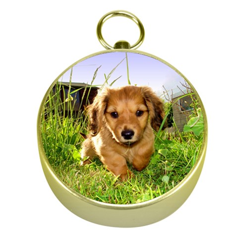 Puppy In Grass Gold Compass from ArtsNow.com Front