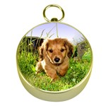 Puppy In Grass Gold Compass