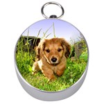 Puppy In Grass Silver Compass