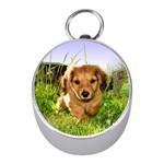 Puppy In Grass Silver Compass (Mini)