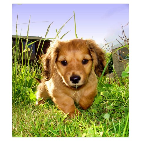 Puppy In Grass Drawstring Pouch (Small) from ArtsNow.com Front