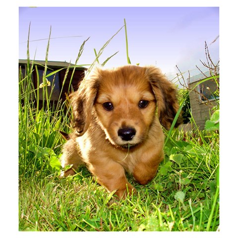 Puppy In Grass Drawstring Pouch (Medium) from ArtsNow.com Front
