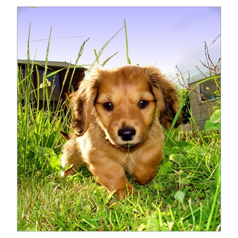 Puppy In Grass Drawstring Pouch (Large) from ArtsNow.com Front