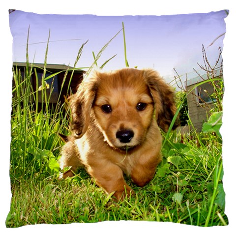 Puppy In Grass Large Flano Cushion Case (One Side) from ArtsNow.com Front