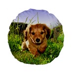 Puppy In Grass Standard 15  Premium Flano Round Cushion 