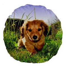 Puppy In Grass Large 18  Premium Flano Round Cushion  from ArtsNow.com Front