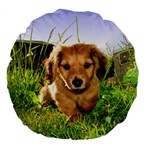 Puppy In Grass Large 18  Premium Flano Round Cushion 