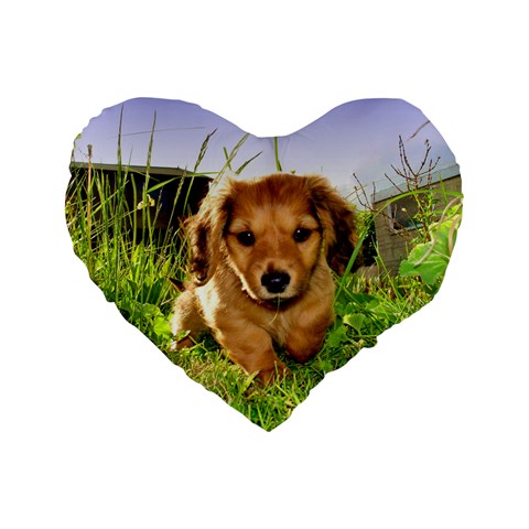 Puppy In Grass Standard 16  Premium Flano Heart Shape Cushion  from ArtsNow.com Front
