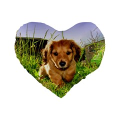 Puppy In Grass Standard 16  Premium Flano Heart Shape Cushion  from ArtsNow.com Front