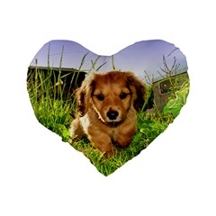 Puppy In Grass Standard 16  Premium Flano Heart Shape Cushion  from ArtsNow.com Back