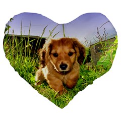 Puppy In Grass Large 19  Premium Flano Heart Shape Cushion from ArtsNow.com Front