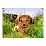 Puppy In Grass Double Sided Flano Blanket (Mini)