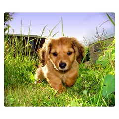 Puppy In Grass Double Sided Flano Blanket (Small) from ArtsNow.com 50 x40  Blanket Back