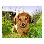 Puppy In Grass Double Sided Flano Blanket (Large)